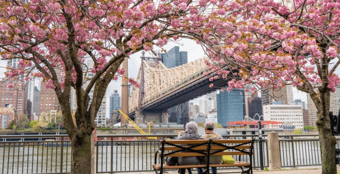 Reasons to Embrace Spring in Brooklyn – 2023 Guide