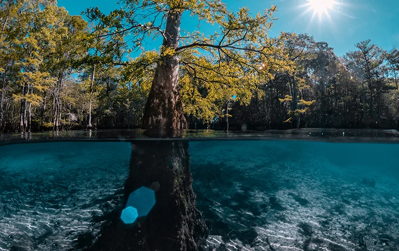 Morrison Springs Florida